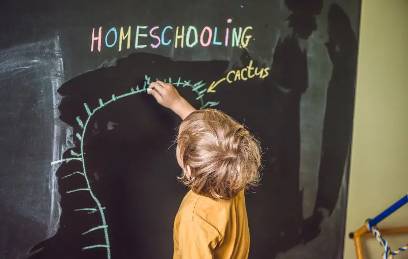 Minimalist Homeschooling