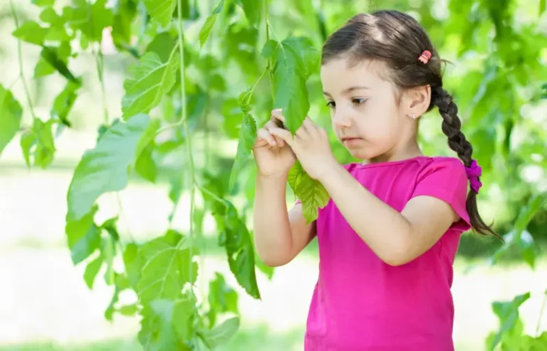 Outdoor Homeschooling: Turning Nature Into Your Classroom.